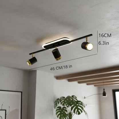 3-Light LED Ceiling Spotlight – Black & Gold Adjustable Ceiling Light with 3CCT (Warm, Natural & Cool White)